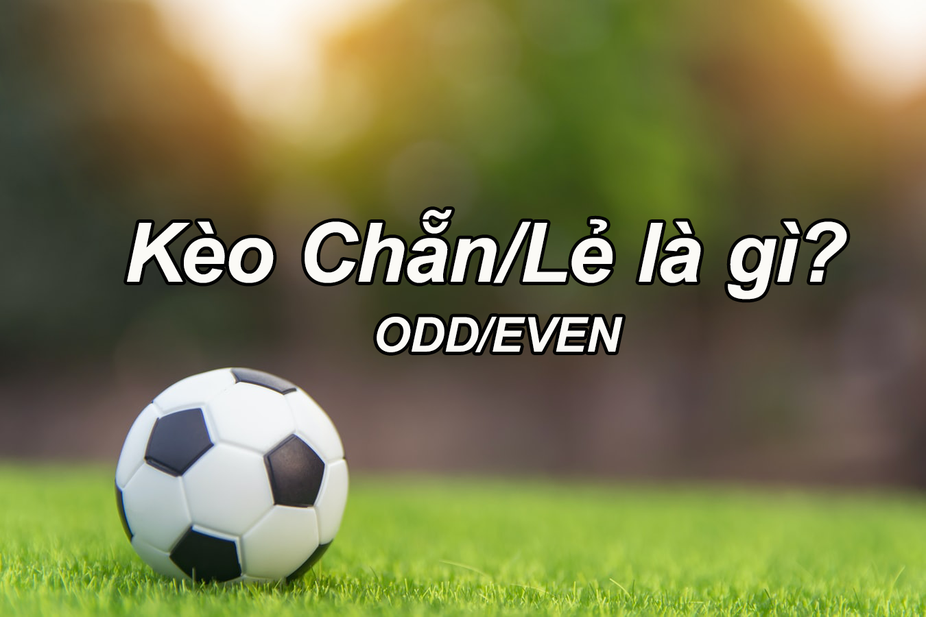 Kèo Chẵn Lẻ Và Kinh Nghiệm Soi Kèo Bóng Đá Bất Bại
